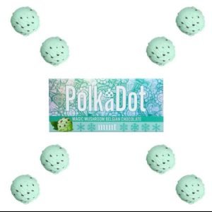 Polka Dot Mint Chocolate Bar